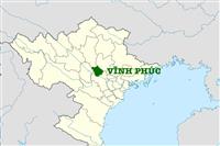 Có nên thuê xe limousine Hà Nội Vĩnh Phúc